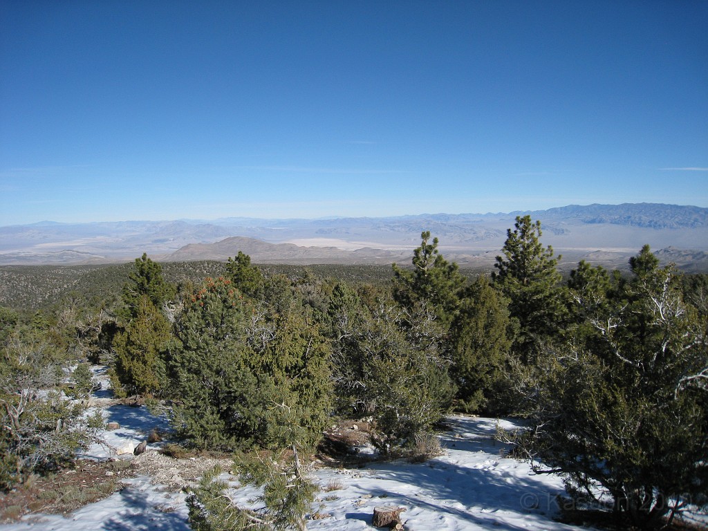 Las Vegas 2010 - Mt Charleston 0281.JPG - The 2010 Las Vegas Fire - Ice and Sweat Tour. Half Marathon, Red Rock Canyon, Casinos, Valley of Fire.... and buffets!